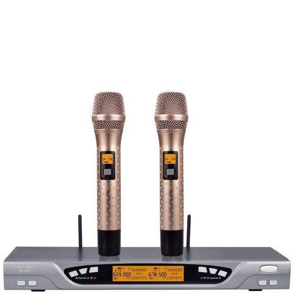 HungThinhAudio_Products_Micro Karaoke Baiervires BS880